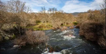 los-embalses-de-madrid-alcanzan-el-85-mientras-el-jarama-y-el-alberche-mantienen-el-nivel-rojo-por-riesgo-de-desbordamiento