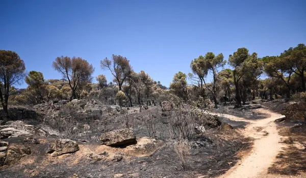 40-efectivos-siguen-refrescando-perimetro-incendio-sierra