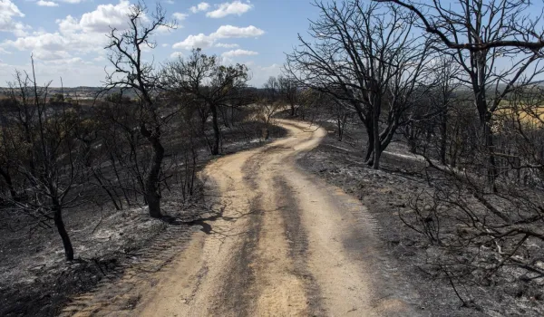 montes-sierra-oeste-recuperan-incendio-aprobacion-puntos-agua