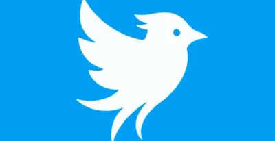 red-social-queria-rescatar-marca-twitter-nombre-tweet-fallo