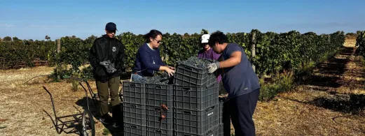 comunidad-abre-centros-investigacion-agraria-estudiantes-fp