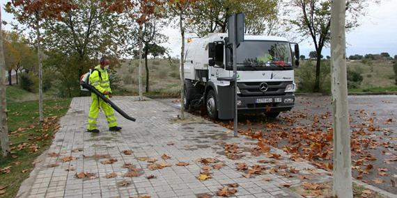 Sevilla la Nueva comienza la campaña de recogida de hojas