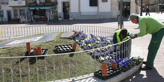 Plantación de flores de temporada en Sevilla la Nueva