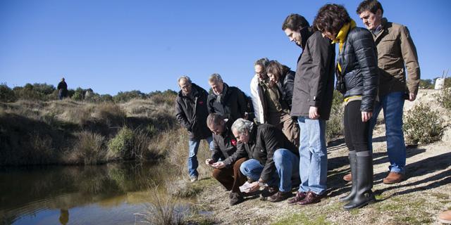 Los humedales madrileños albergan el 67 % de las especies de aves y anfibios