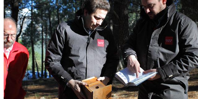 La Comunidad instala cajas-nido que protegen el Parque Nacional de la Sierra de Guadarrama