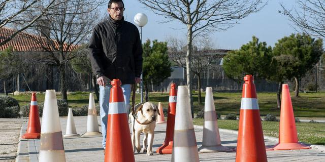 Más de 200 madrileños con discapacidad visual o ceguera utilizan perros-guía