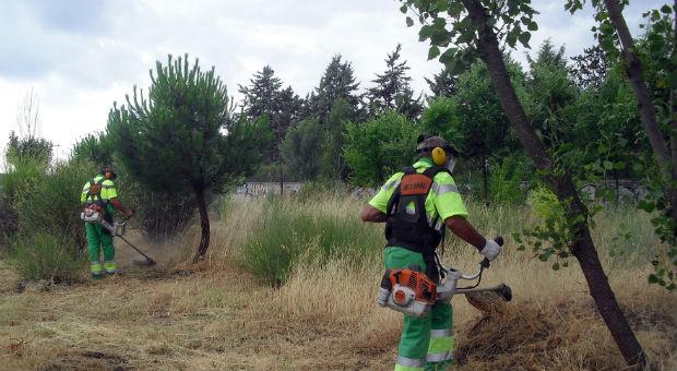 Las Rozas minimiza el riesgo de incendios limpiando 303 hectáreas del municipio