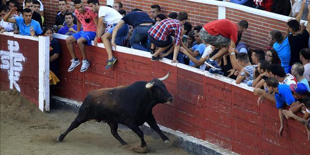 Seis heridos leves en el último encierro de San Sebastián