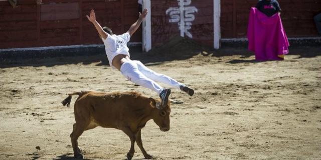 Cuatro heridos leves en el primer encierro de San Sebastián de los Reyes