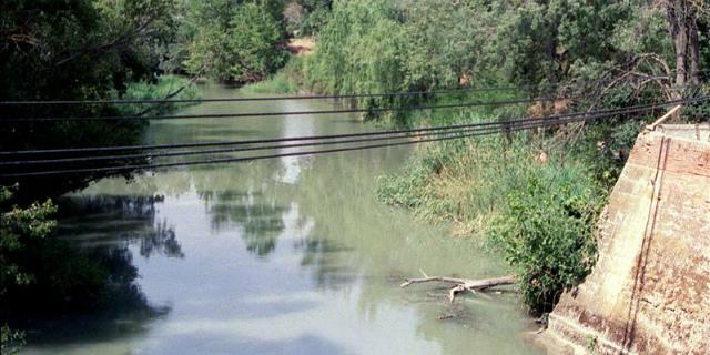 La Comunidad apoya que se cumplan los cauces "mínimos" del Tajo en Aranjuez