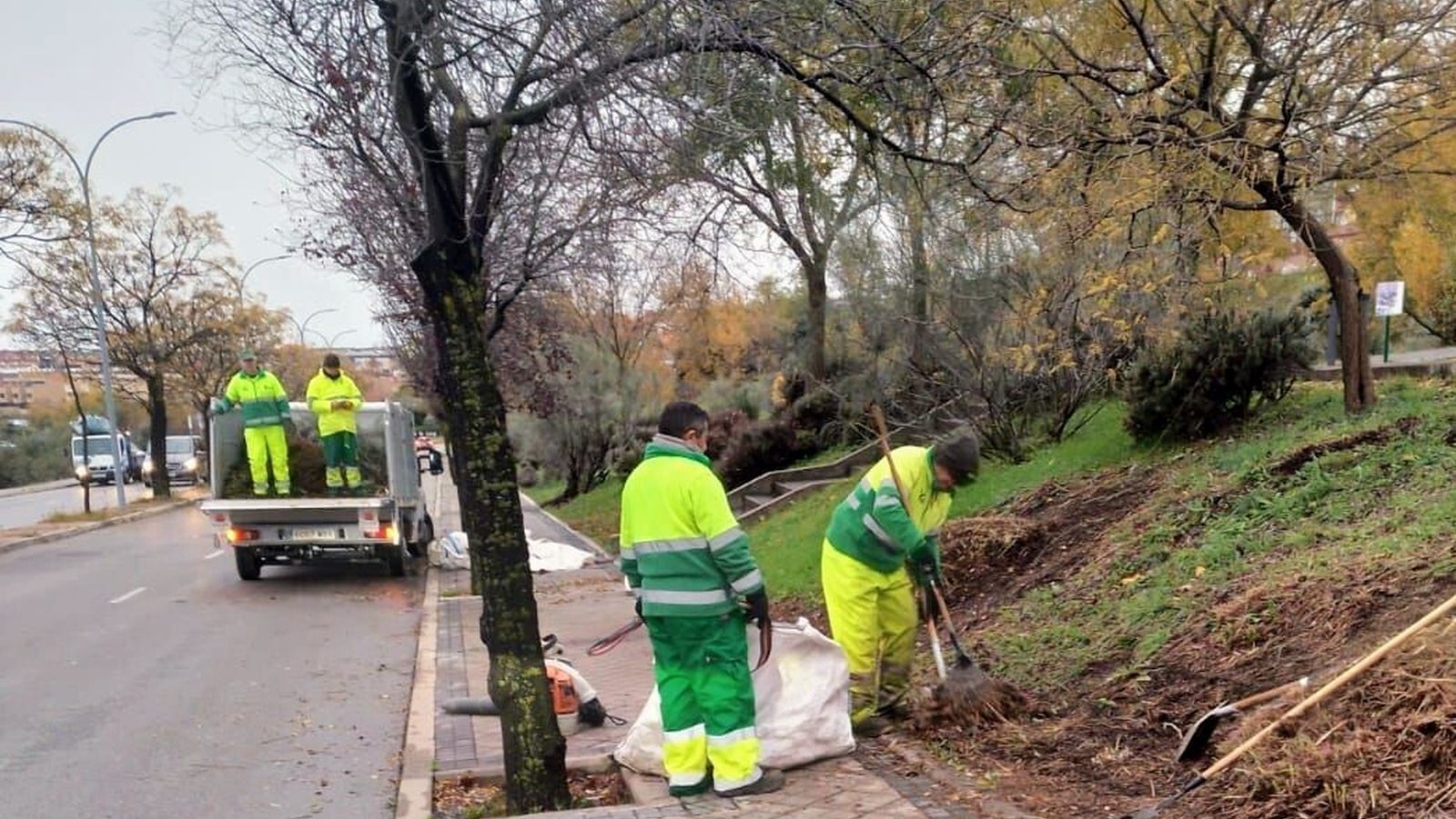 Arroyomolinos despliega un plan especial para la recogida de la hoja