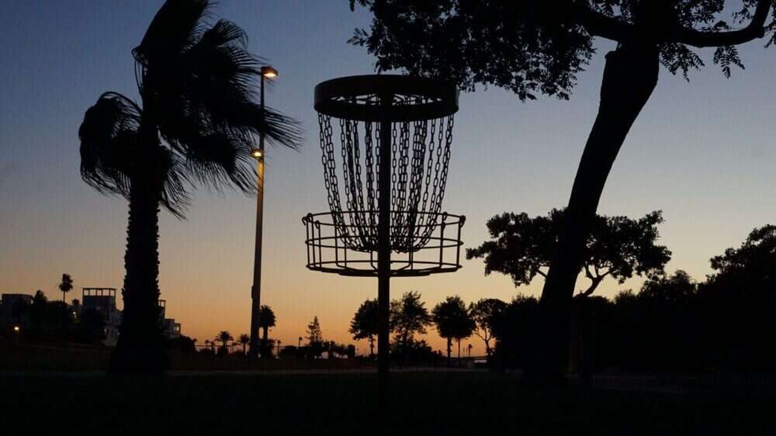 Disc golf: un deporte en auge que combina precisión y estrategia