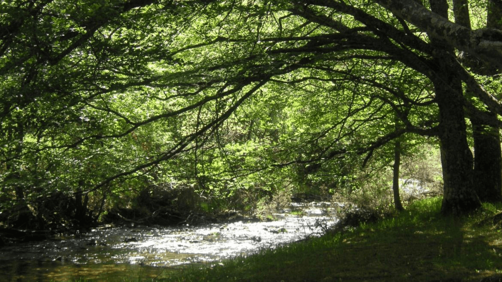 La Comunidad de Madrid organiza 200 actividades gratuitas para promover la biodiversidad regional