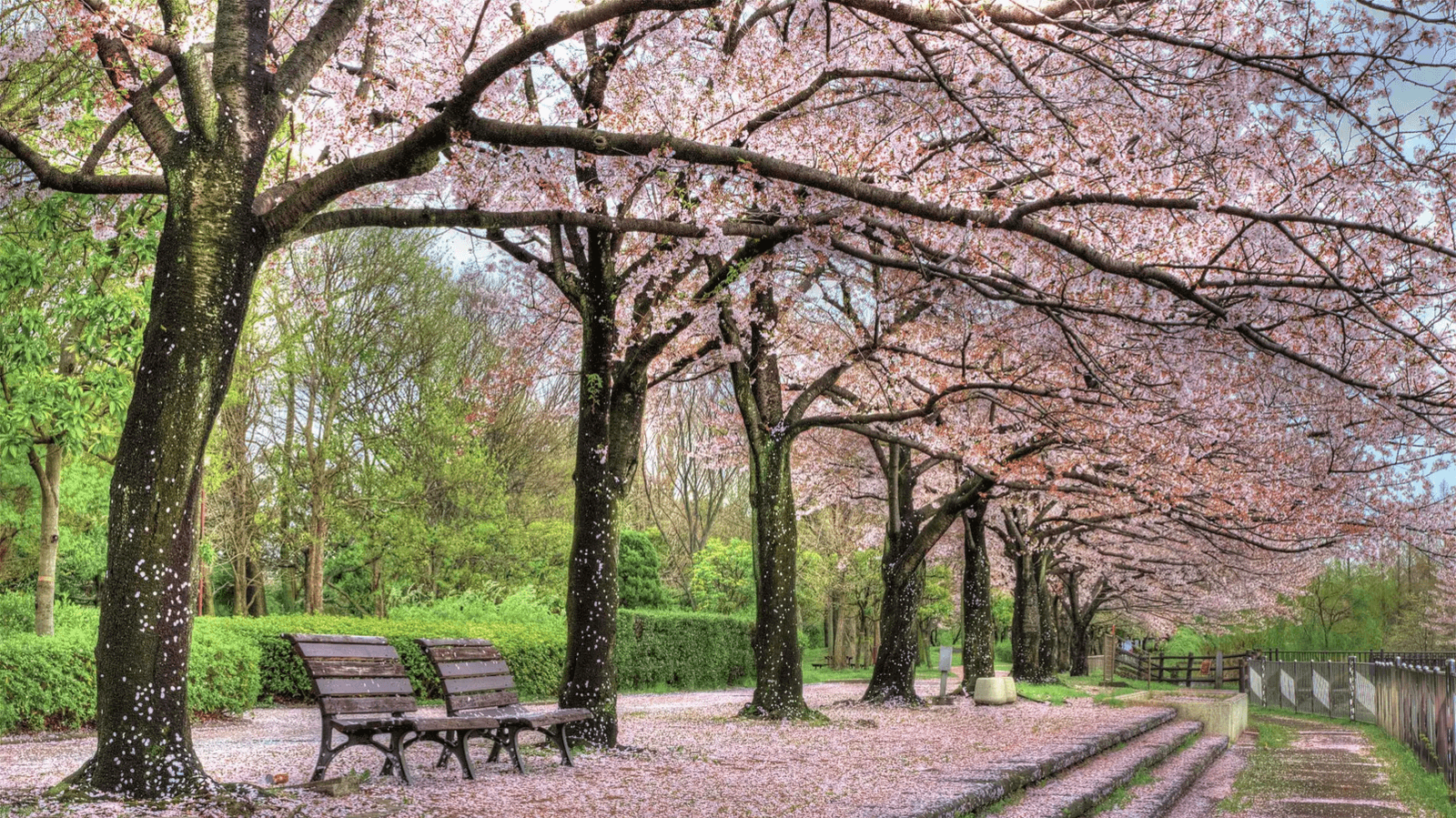 Descubre Madrid en primavera: clima perfecto, cultura viva y diversión al aire libre