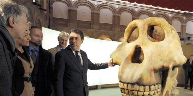 Alcalá acoge una exposición sobre el origen del hombre