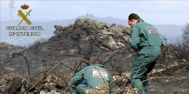 Más de 2.200 madrileños participan en tareas de voluntariado ambiental