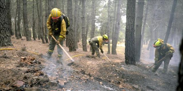 Un incendio arrasa entre seis y siete hectáreas en los sotos históricos de Aranjuez