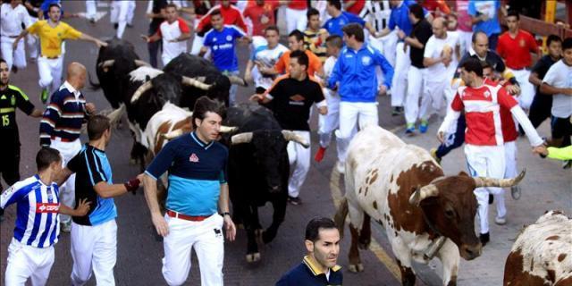 Toros "sin afeitar" en el segundo encierro de San Sebastián