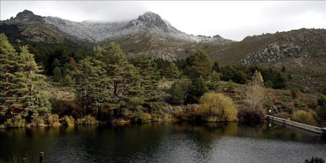 La Comunidad adjudica por 2,8 millones el contrato de conservación de Guadarrama