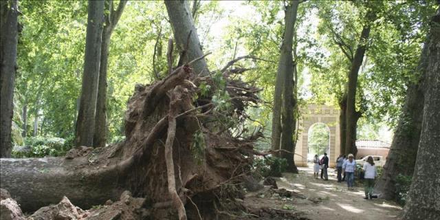 Patrimonio Nacional calcula que los jardines de Aranjuez abrirán en 3 meses