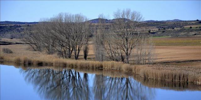 Aranjuez acuerda celebrar una semana al año dedicada al río Tajo