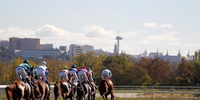 Madrid y A Coruña, etapas en España de la nueva Copa del Mundo de saltos