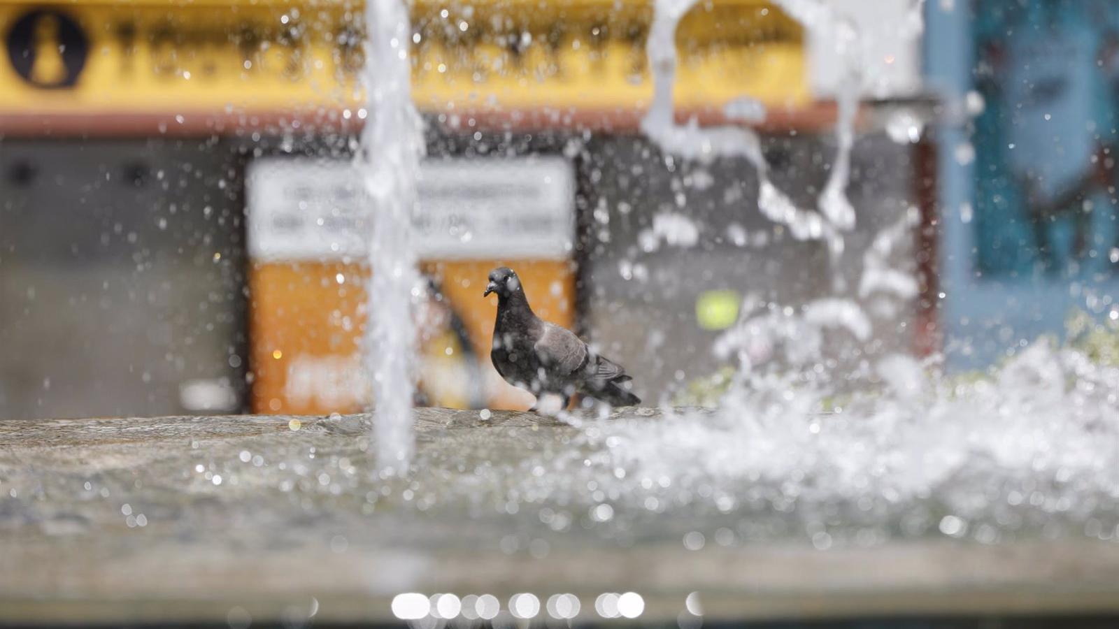 Activado el plan regional contra el calor con medidas en colegios, hospitales y transporte