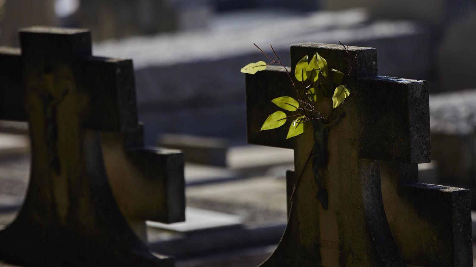 Los más de 100 años del archivo histórico del cementerio de la Almudena serán digitalizados