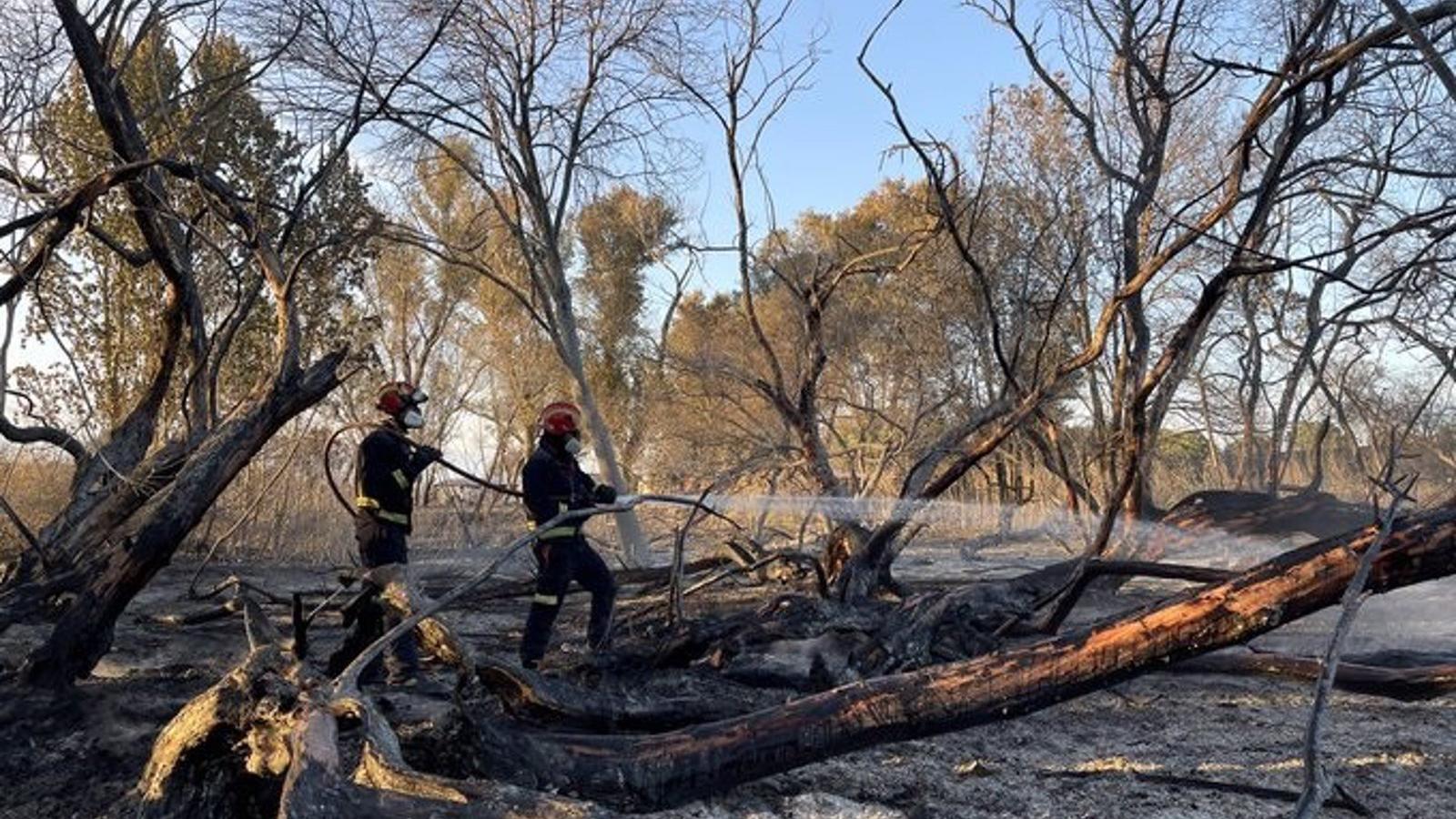 Extinguido y perimetrado el incendio de vegetación en Fuente El Saz