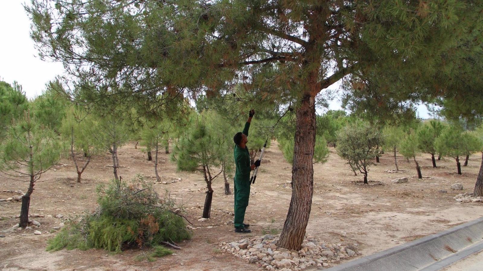 Arganda contrata a 31 personas desempleadas de larga duración mayores de 30 años