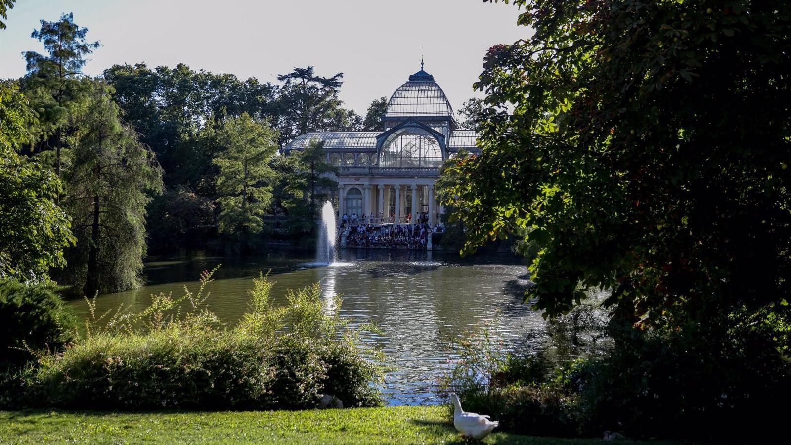 Dos grandes árboles y hasta 40 ramas cayeron en El Retiro mientras  permaneció cerrado por los fuertes vientos - MADRID ACTUAL