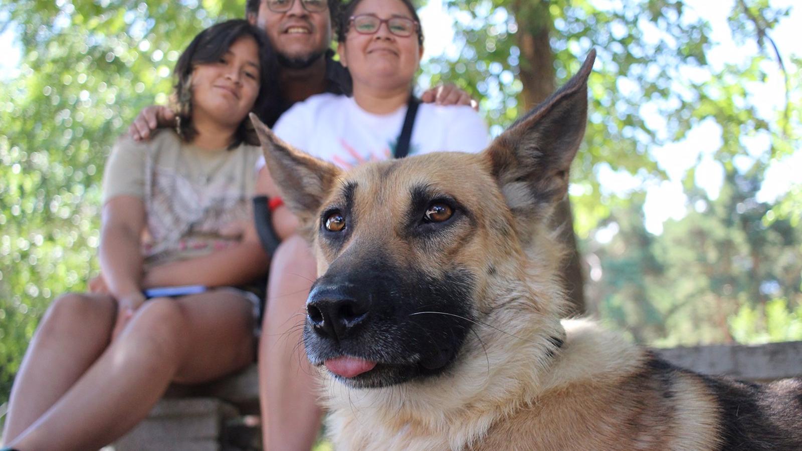 Nawall, el perro rescatado medio degollado, encuentra un nuevo hogar con una familia de Ciempozuelos