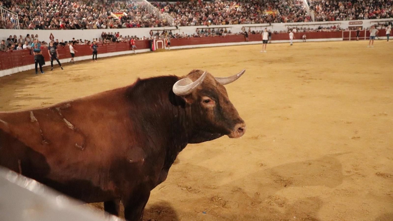 Las fiestas patronales de Ciempozuelos contarán con su primer encierro vespertino y repetirán el nocturno