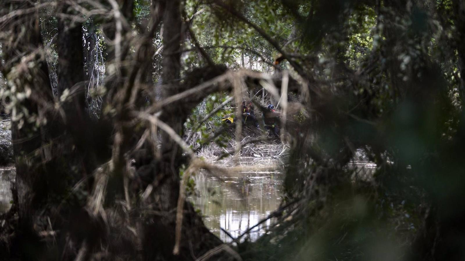 Un centenar de operarios y 50 vehículos de maquinaria pesada trabajan en la limpieza de Aldea del Fresno y Villamanta