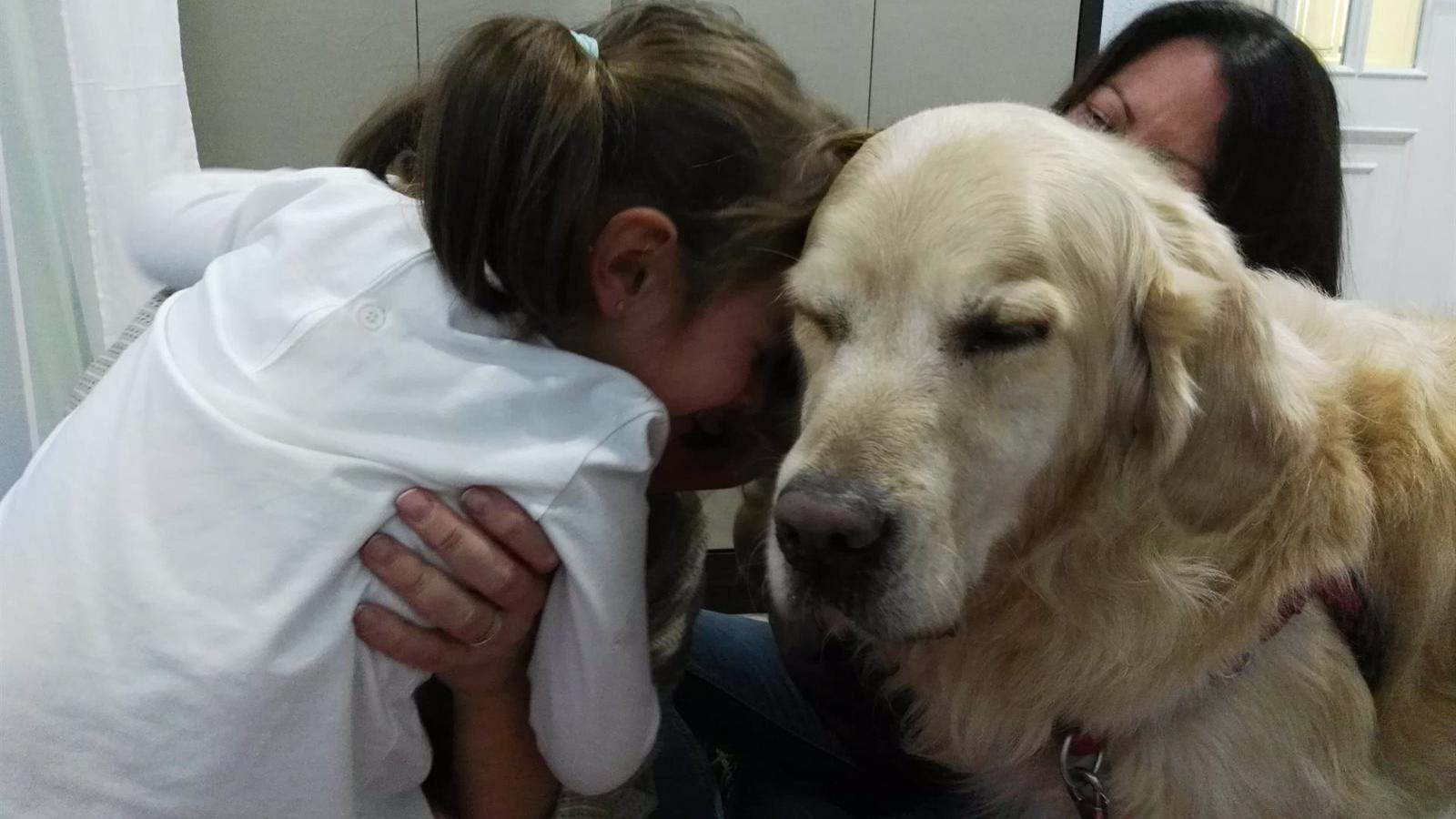 El 12 De Octubre Inicia Un Programa De Terapia Asistida Con Perros Para ...