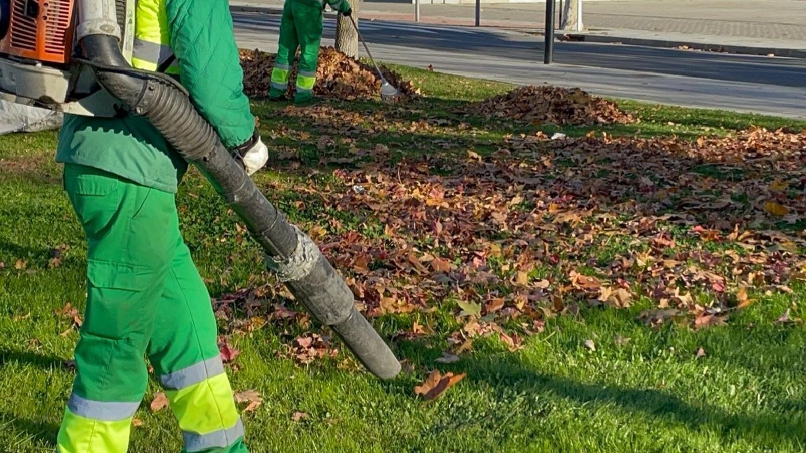 Galapagar aumenta la frecuencia de recogida de las hojas en la vía pública para evitar resbalones