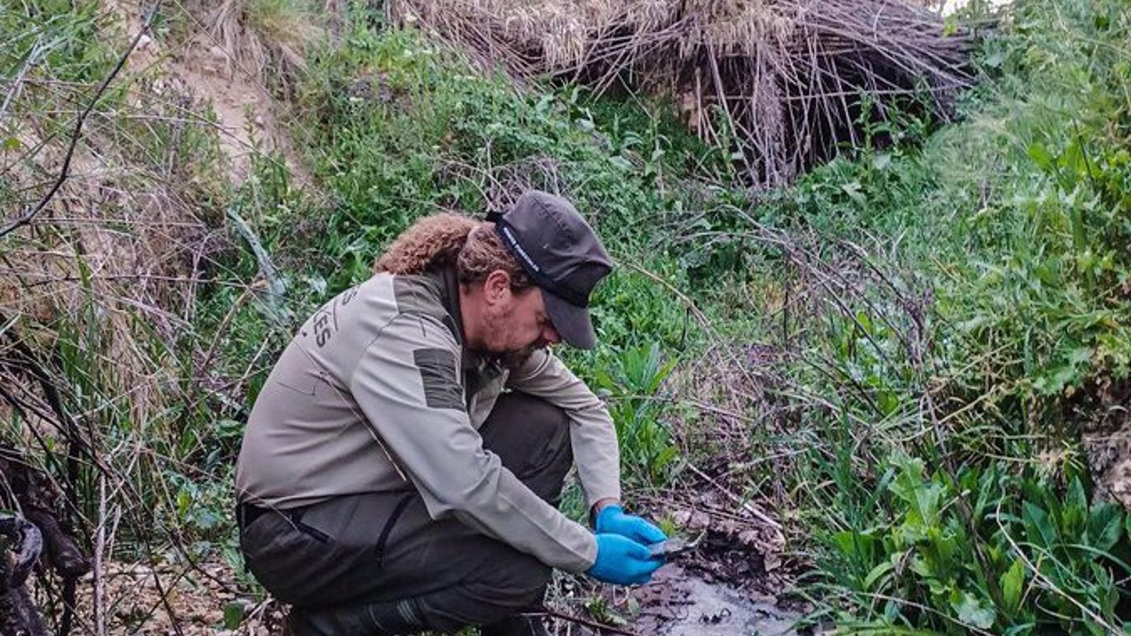  Agentes Forestales denuncian al responsable de un vertido de purines de cerdo en Tielmes