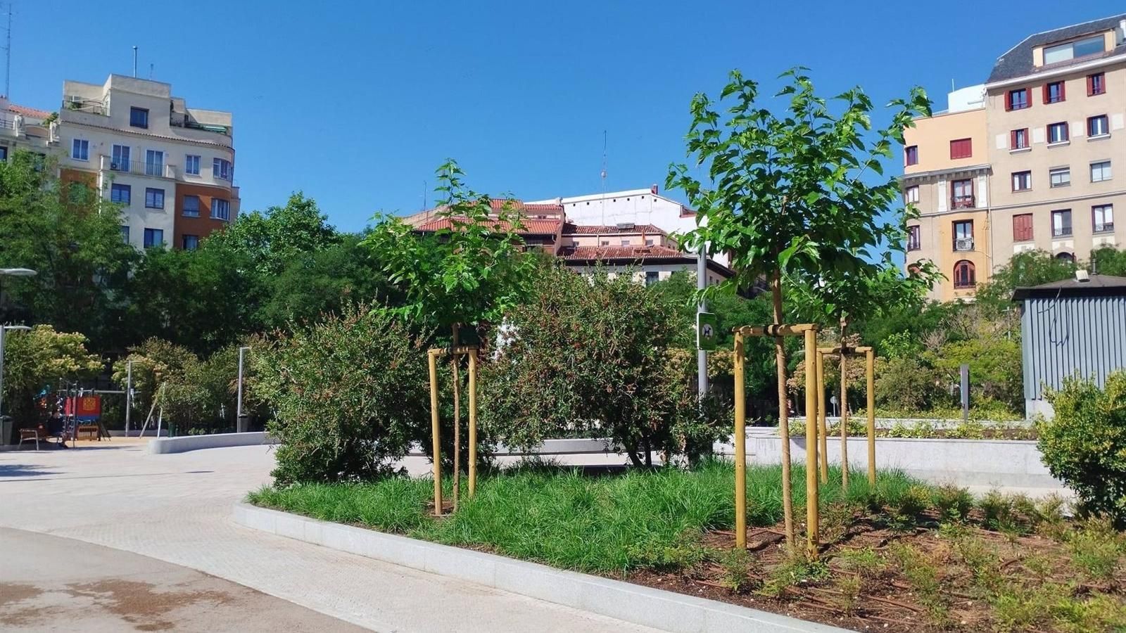 La Plaza de Olavide se renueva con más espacio peatonal y vegetación