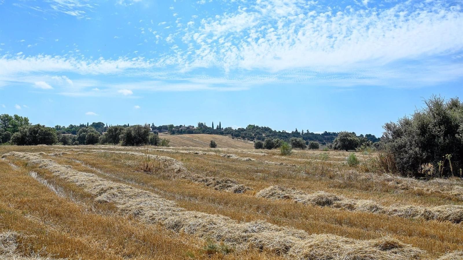 Ecologistas se oponen al nuevo desarrollo urbanístico Algete Norte