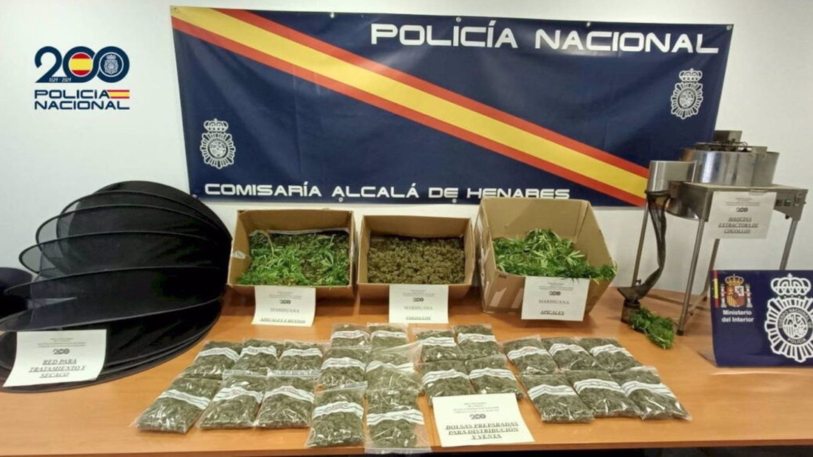 Desmantelan en Alcalá de Henares una plantación de marihuana operada por familiares