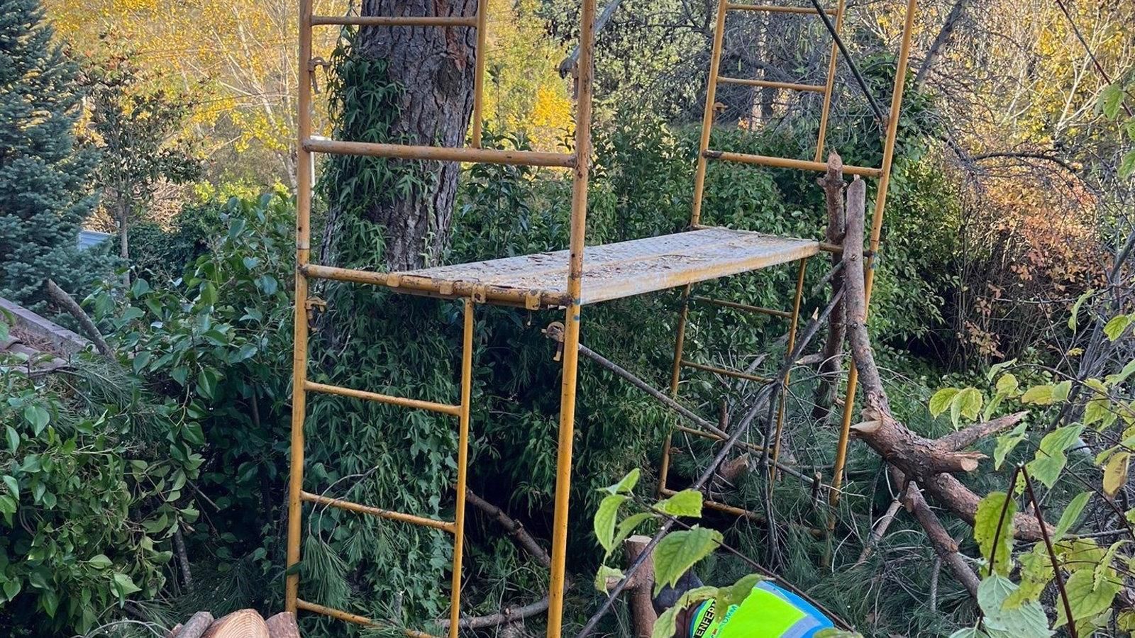 Un hombre sufre heridas graves tras precipitarse de un árbol mientras lo podaba en Soto del Real