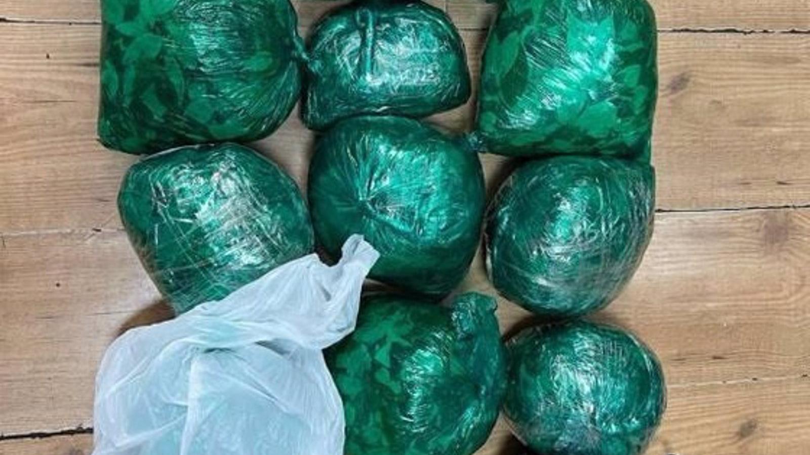 Confiscan cerca de cinco kilos de hojas de coca destinadas a la venta en una frutería de Usera