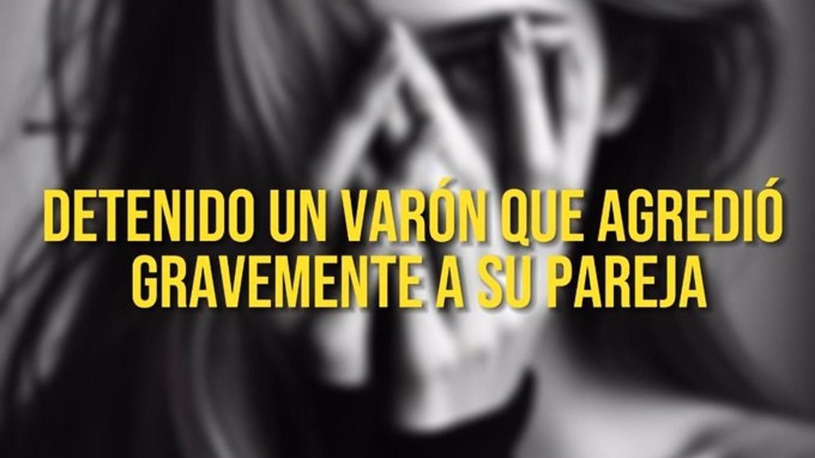 Arrestan a un ecuatoriano por atacar a su pareja al violar la orden de alejamiento judicial