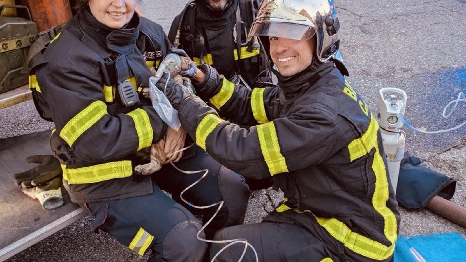 Un incendio en una cocina de Móstoles deja tres intoxicados y afecta a un perro y un gato