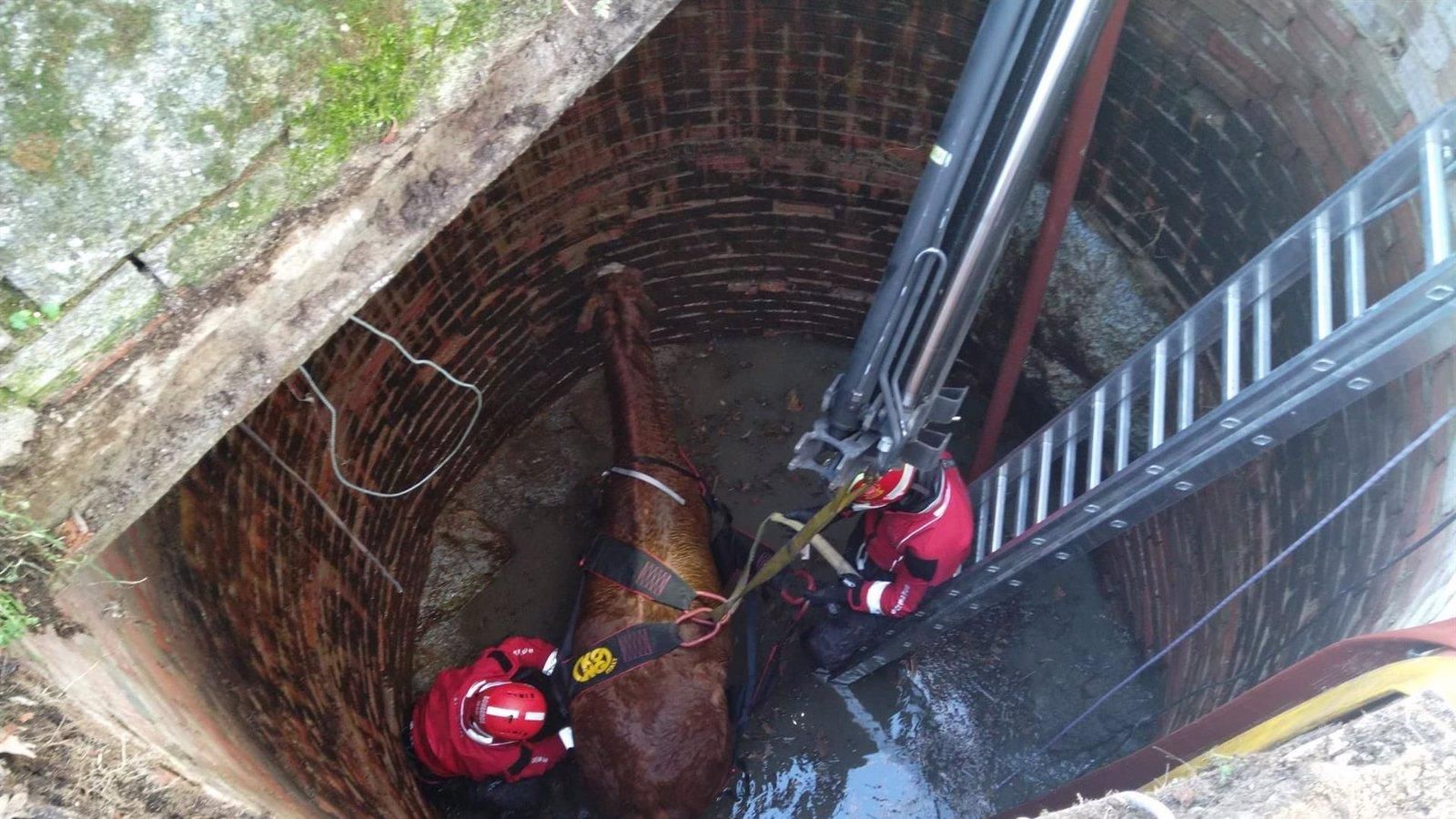 El GERA salva a un caballo caído en un pozo en Guadarrama