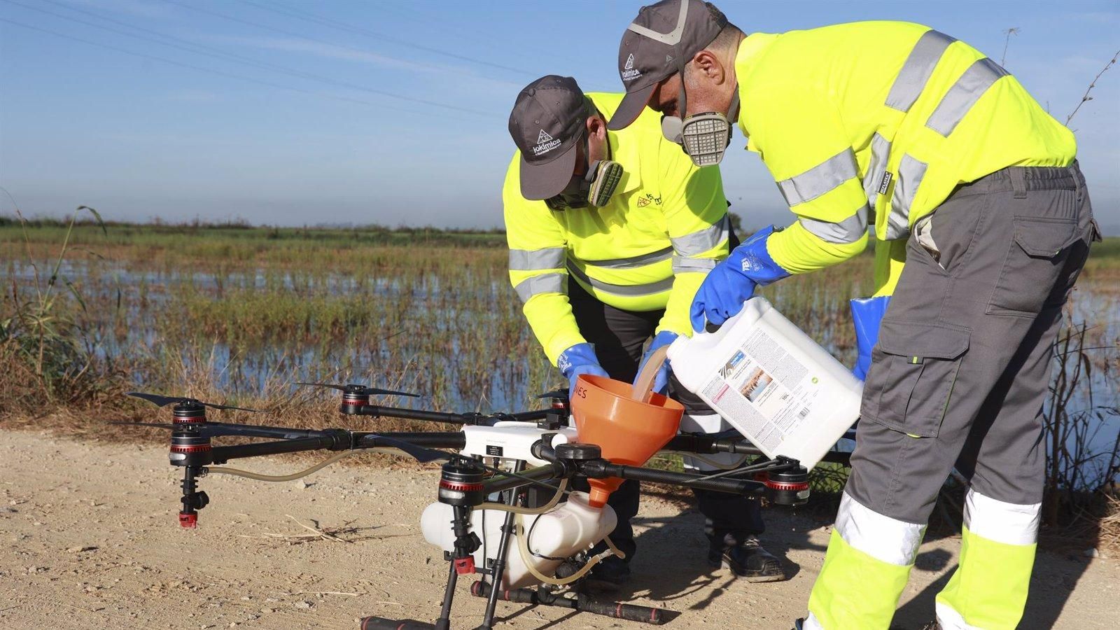 Andalucía intensifica la vigilancia del Virus del Nilo con un aumento del 139% en capturas de mosquitos