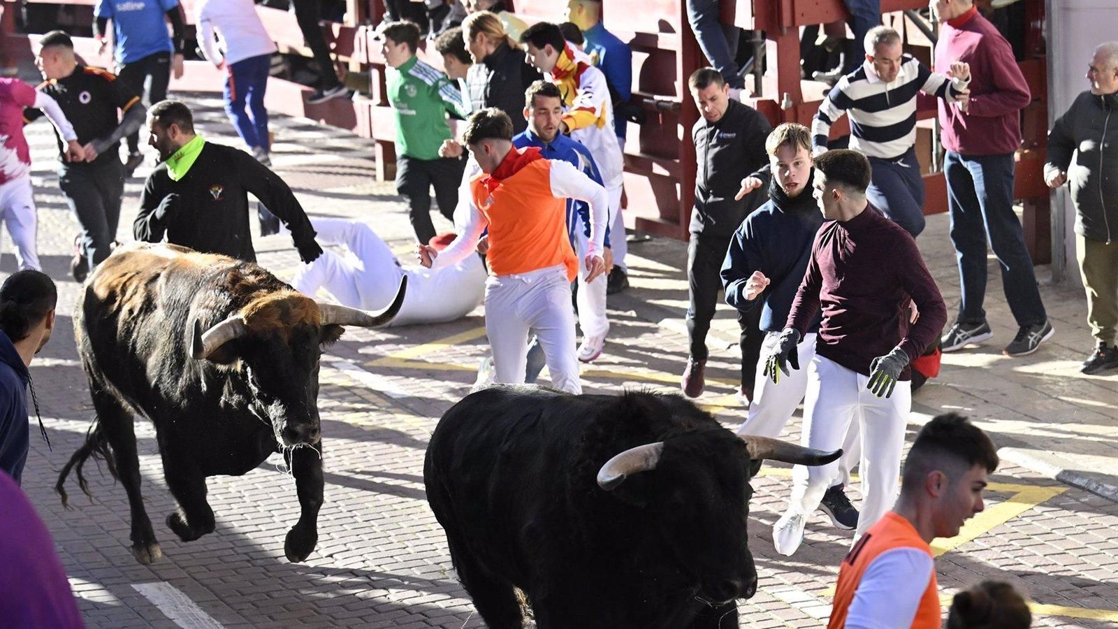 El primer encierro blanco de San Sebastián de los Reyes finaliza sin incidentes graves