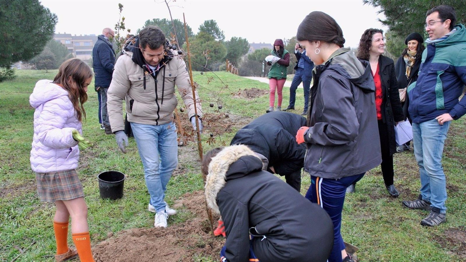 Embajadores europeos participan en plantación de árboles en Las Rozas