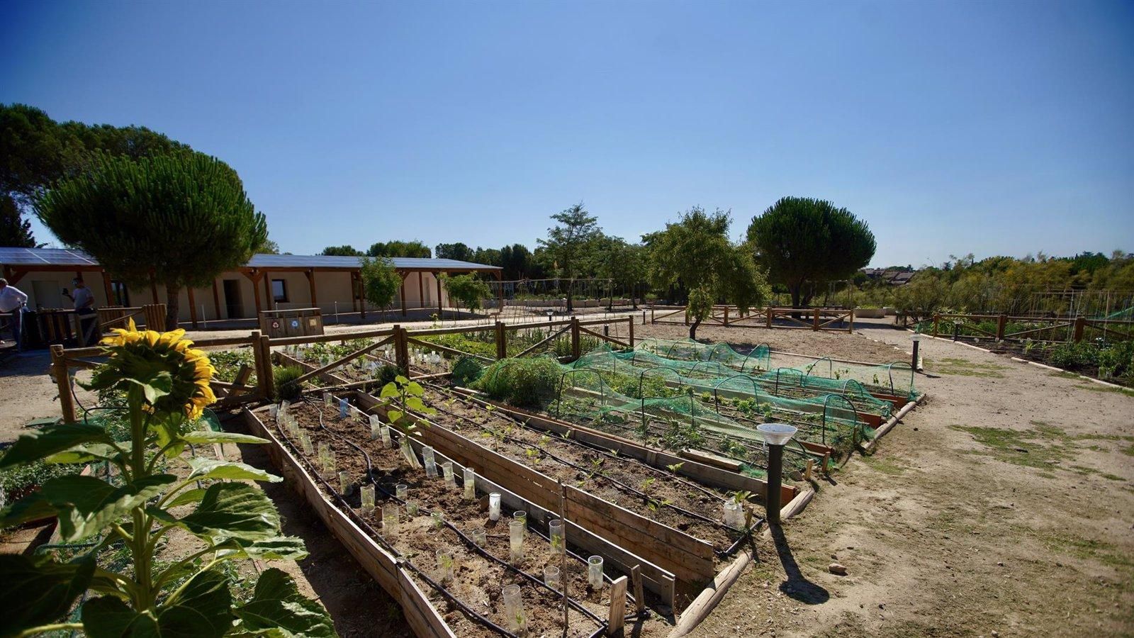 Las Rozas impulsa un innovador Programa de Educación Ambiental