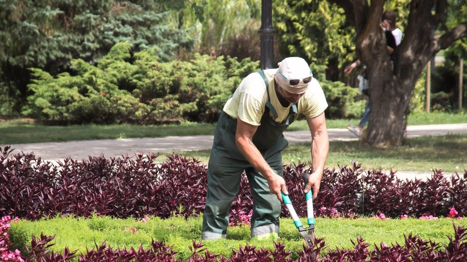 Torrejón de Ardoz lanza un programa de empleo y formación en jardinería para jóvenes desempleados